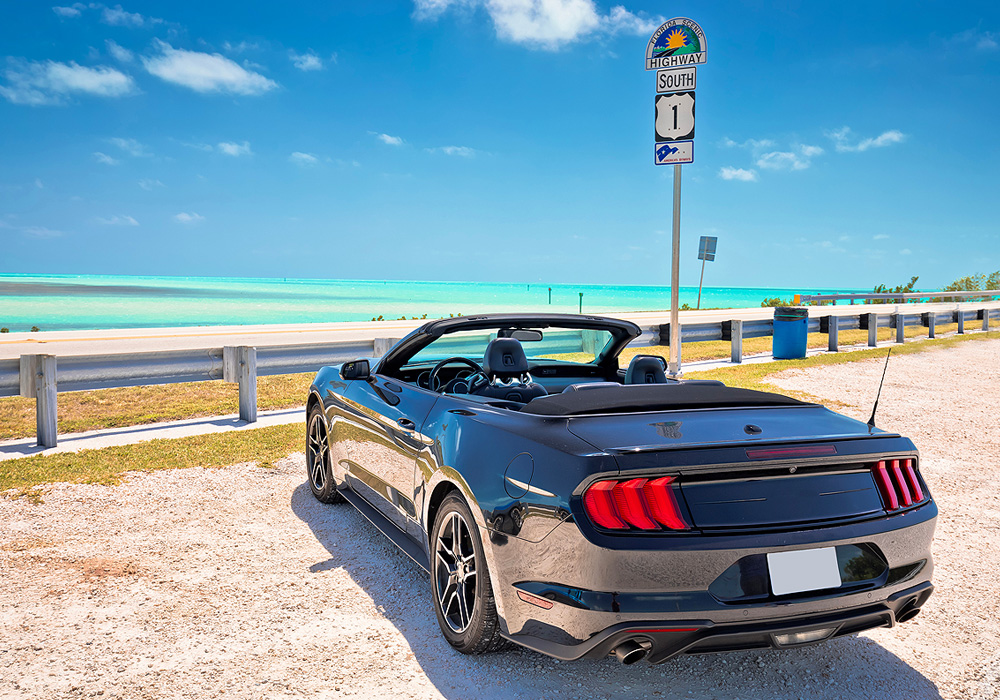 Lionsgroup - Florida Car Insurance Florida Car Insurance